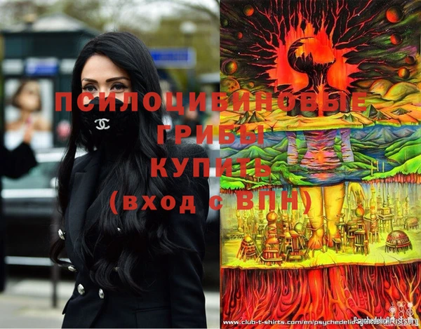 МДПВ Ладушкин