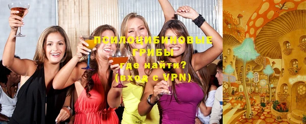 МДПВ Лагань