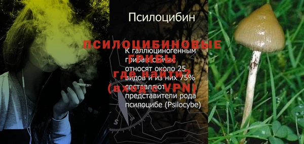 МДПВ Ладушкин